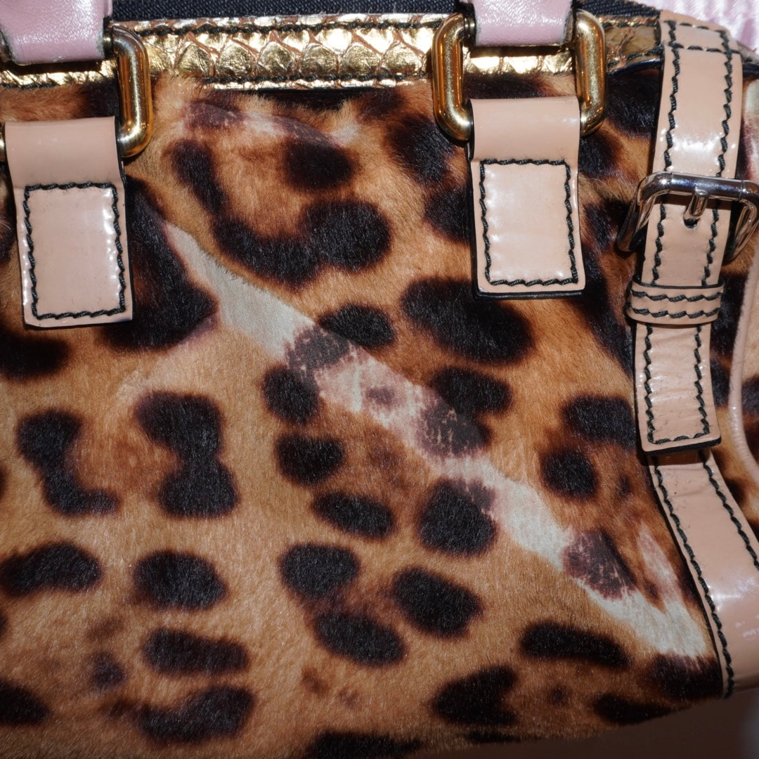Dolce & Gabbana Leopard Purse