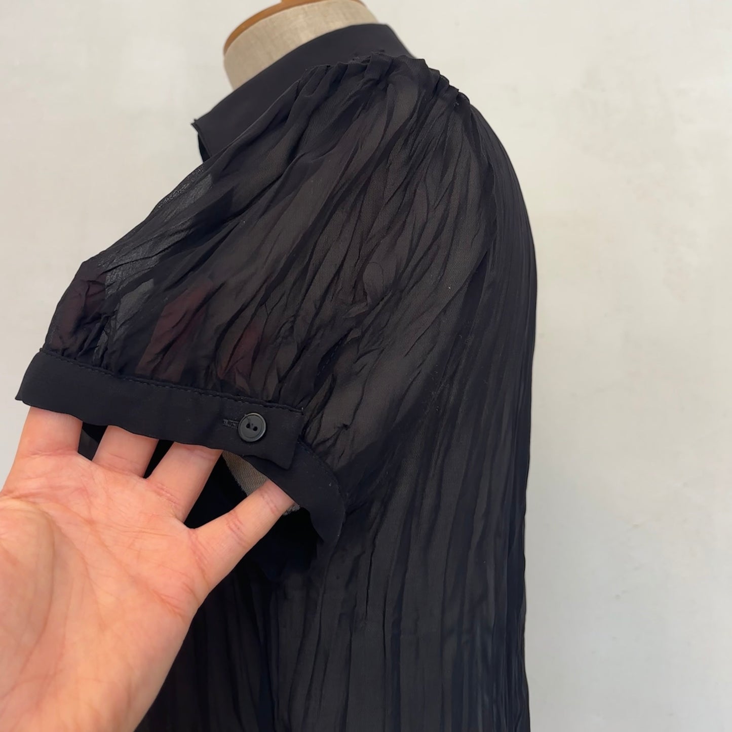 Sheer Pleated Blouse (M)