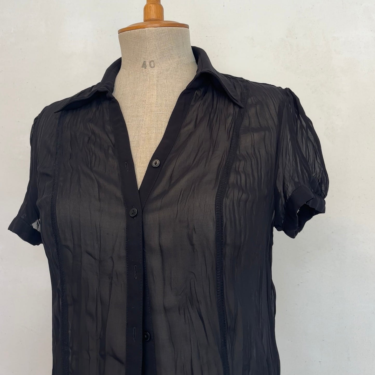 Sheer Pleated Blouse (M)