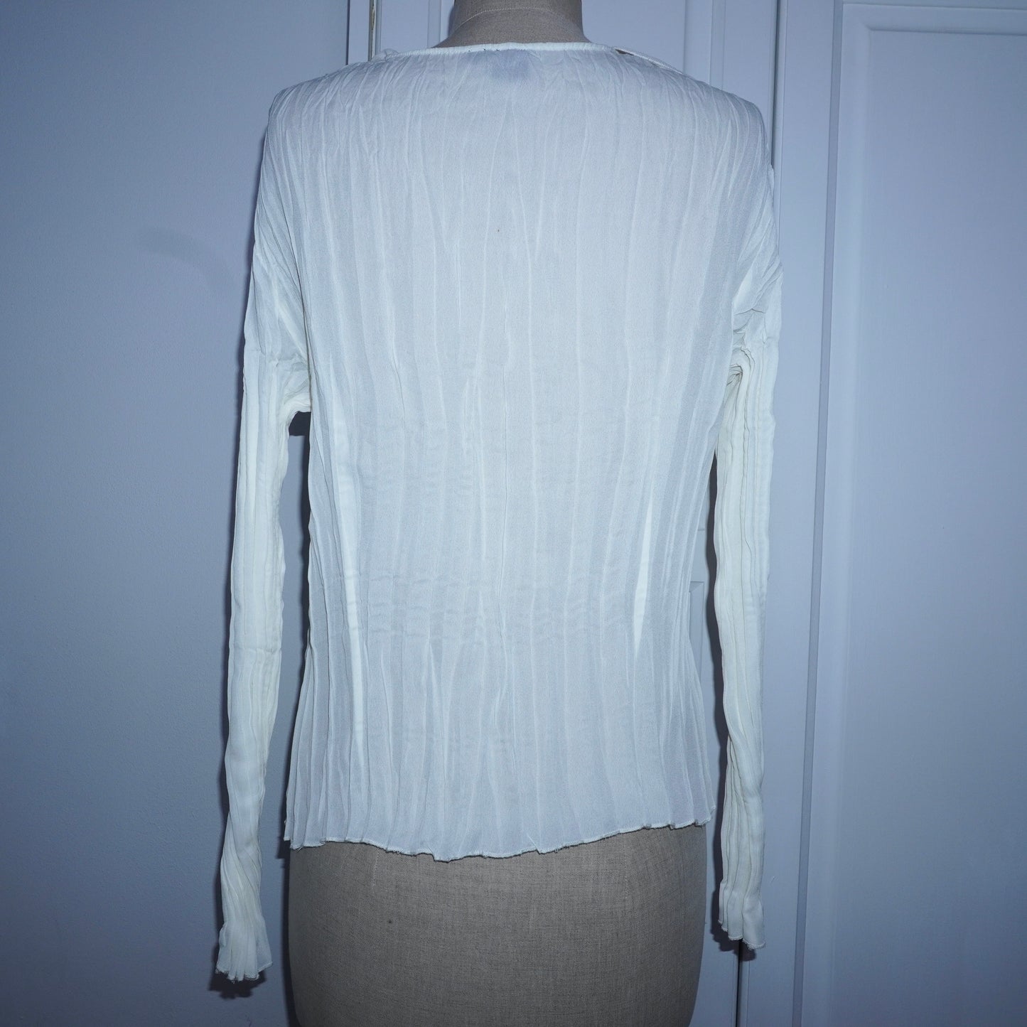 Ruffle Pleated Blouse (L)