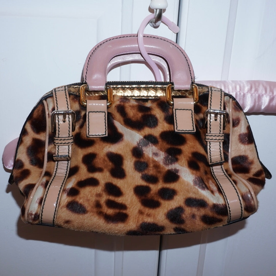 Dolce & Gabbana Leopard Purse