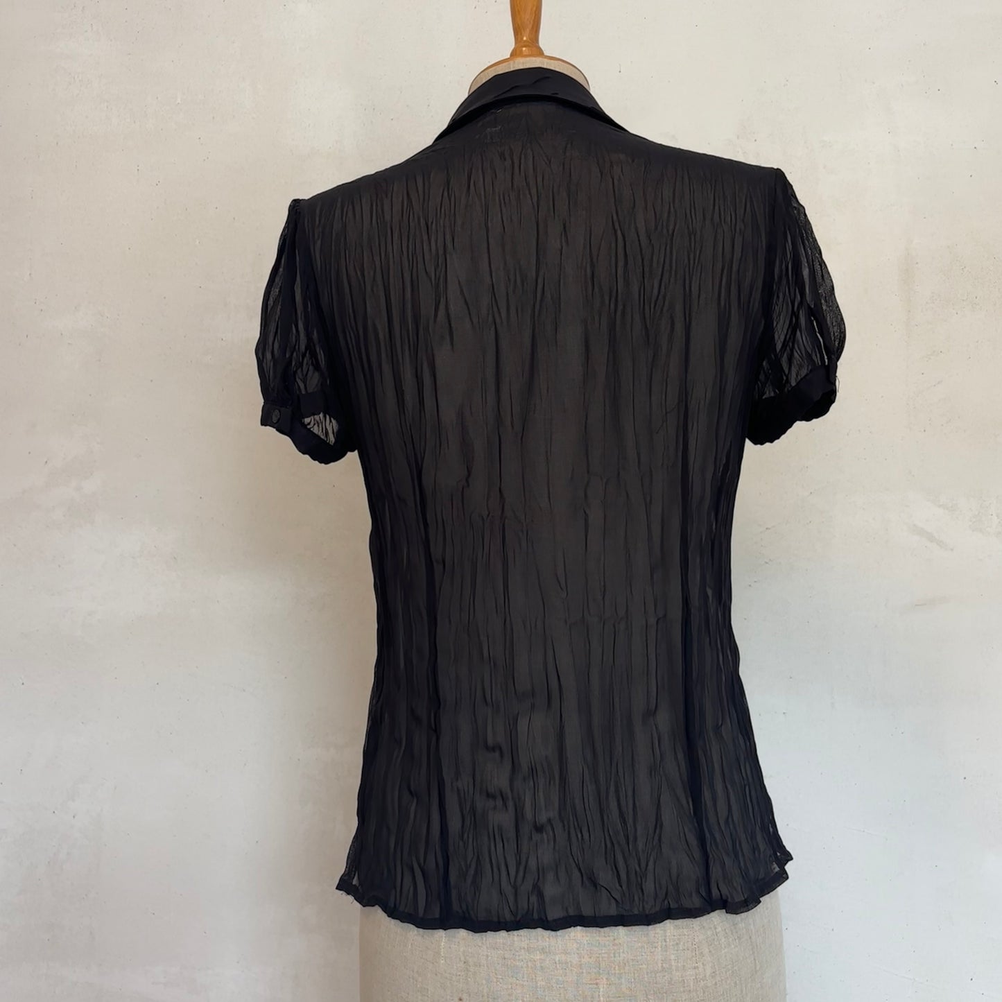 Sheer Pleated Blouse (M)