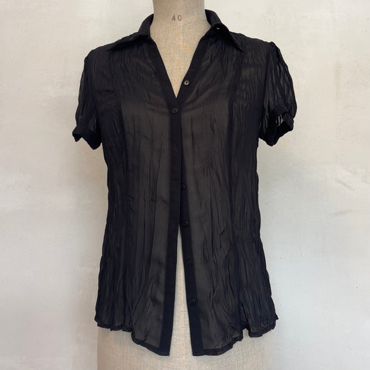 Sheer Pleated Blouse (M)
