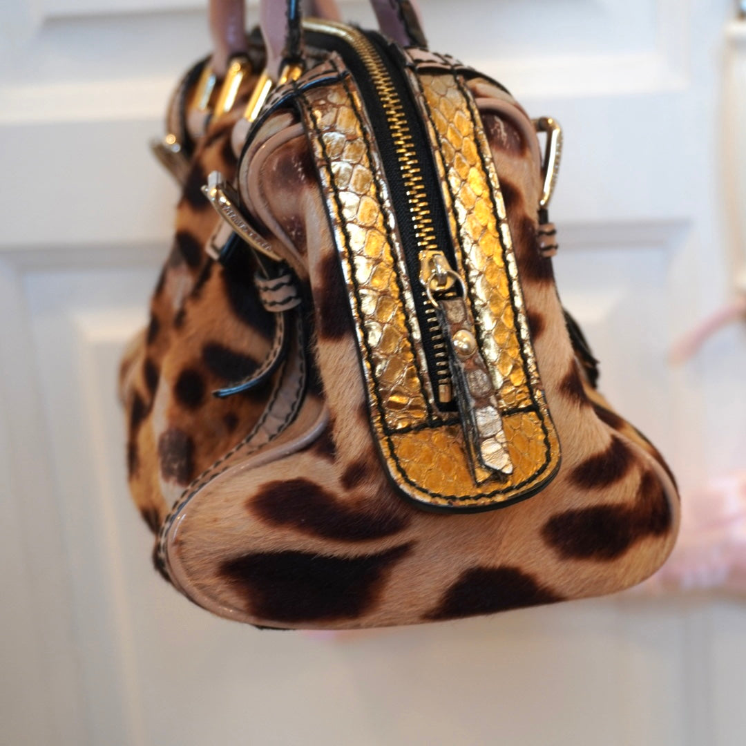Dolce & Gabbana Leopard Purse