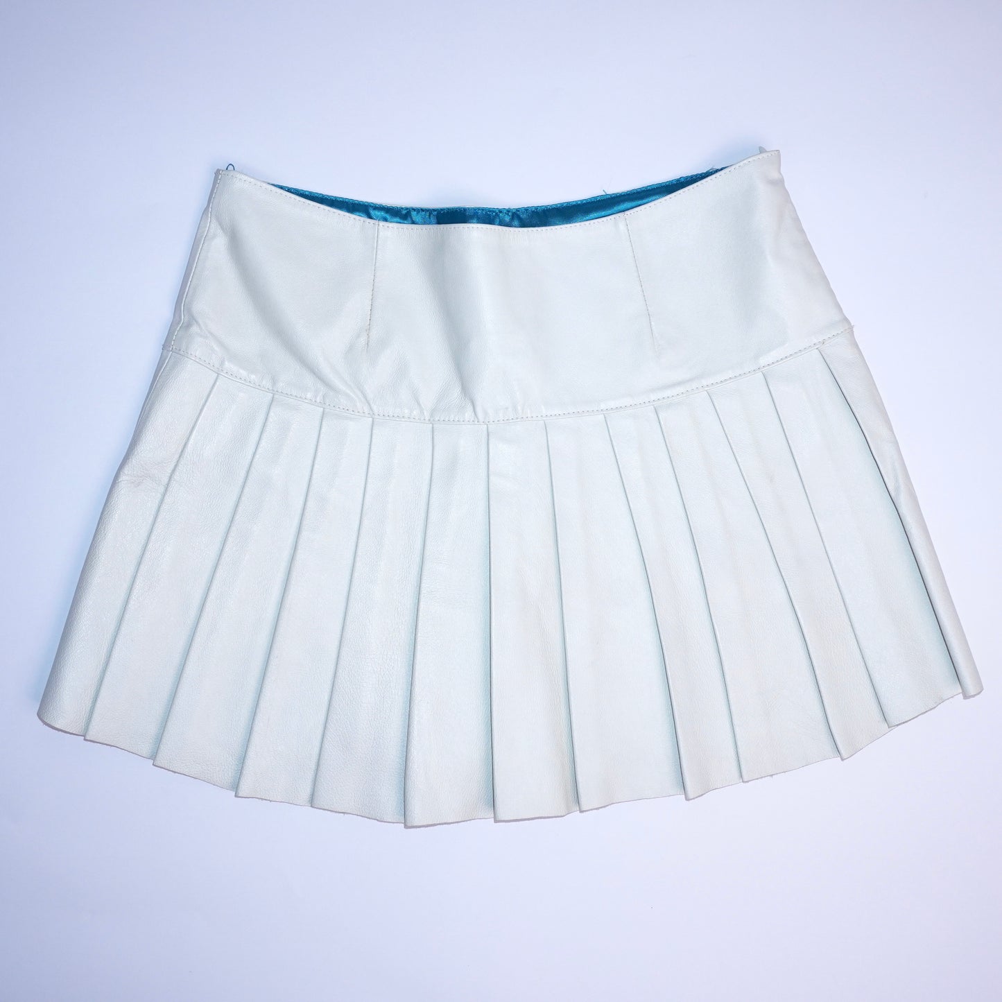 Leather Pleated Skirt (M)