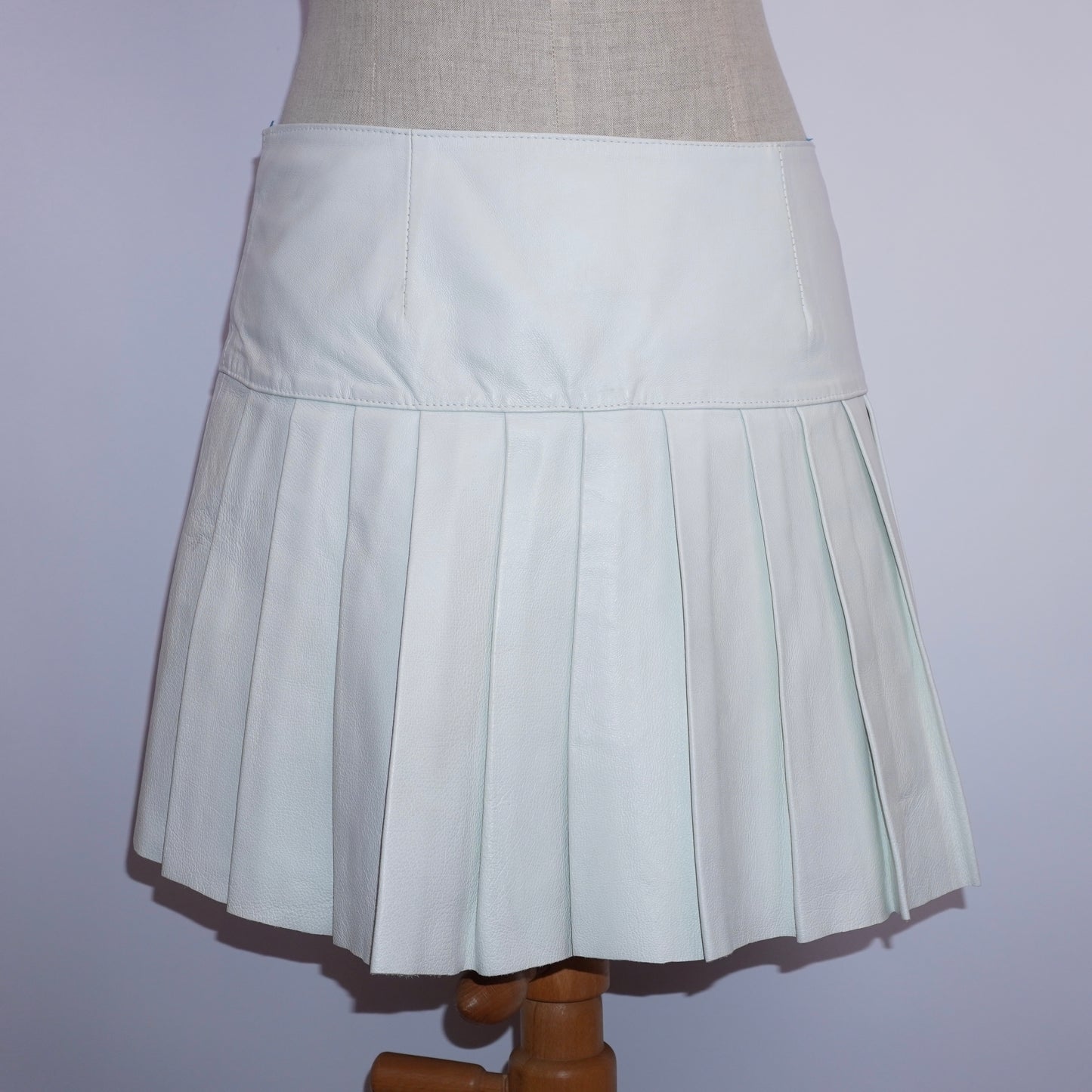 Leather Pleated Skirt (M)