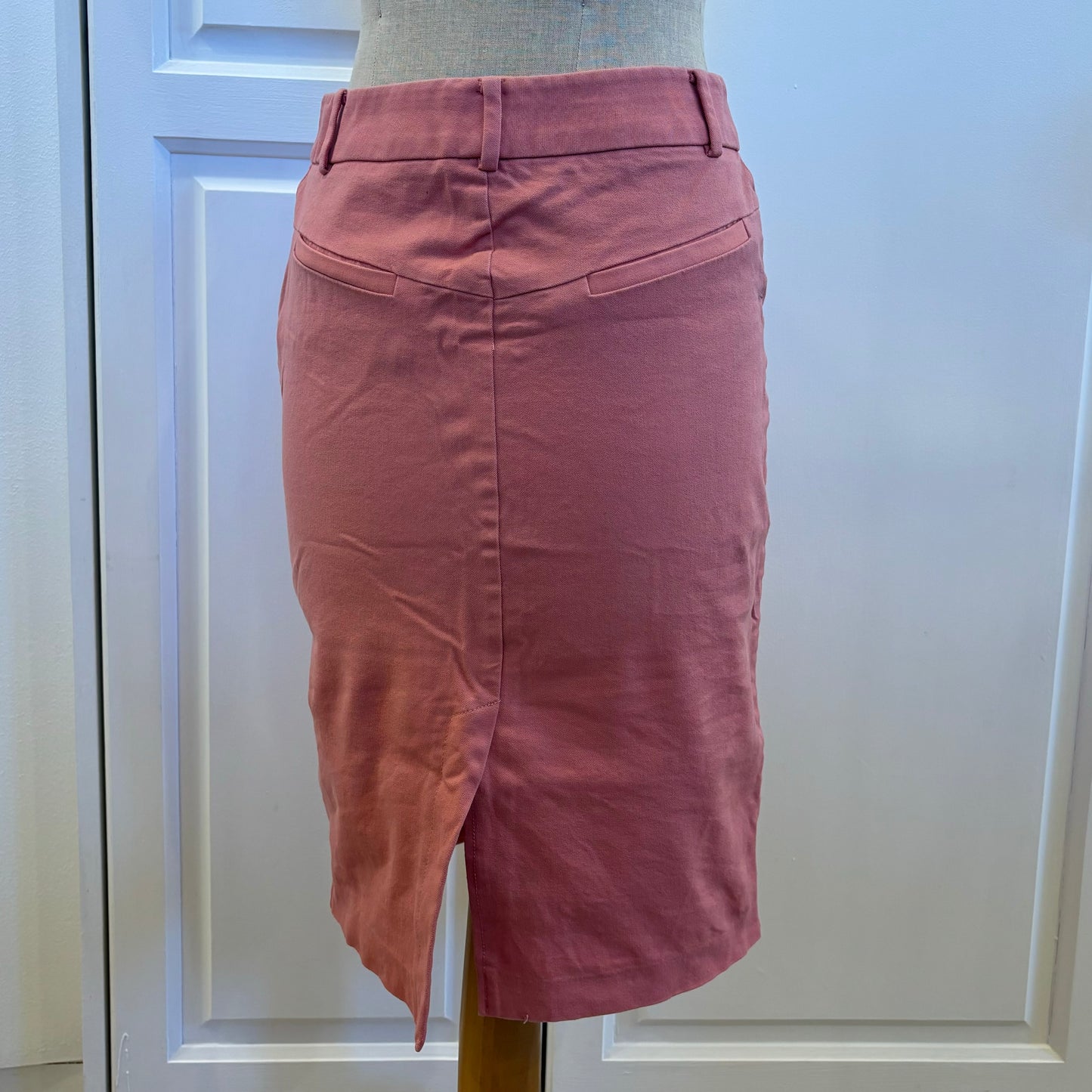 Pink Pencil Skirt (M)