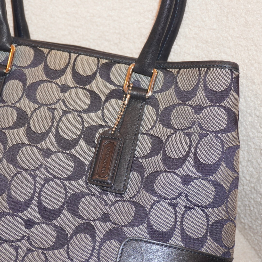Coach 2000s Signature Bag
