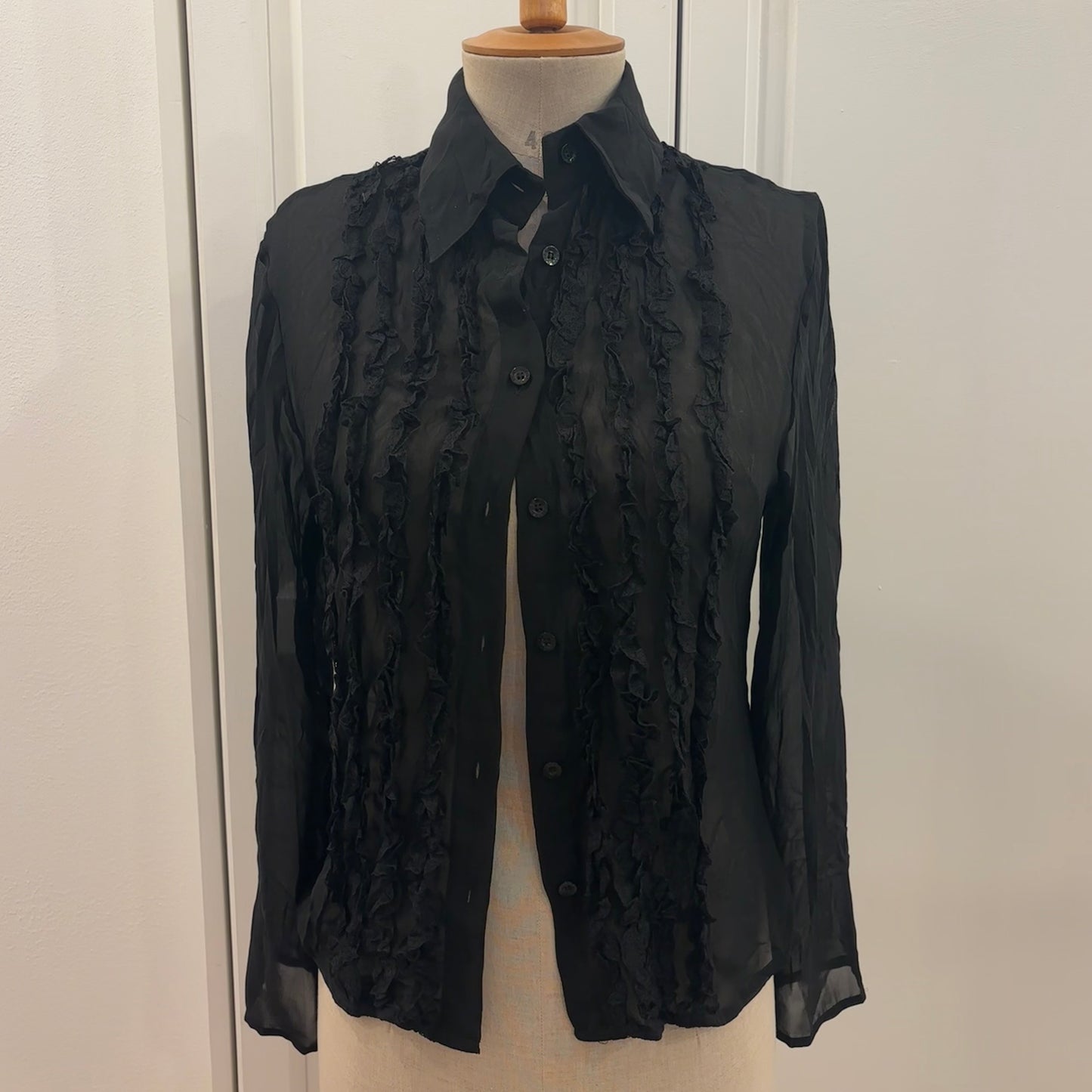 Sheer Ruffle Blouse (S/M)