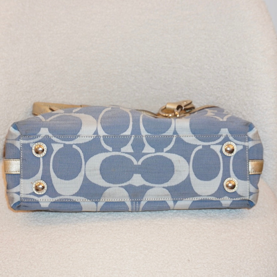 Coach 2000s Signature Bag