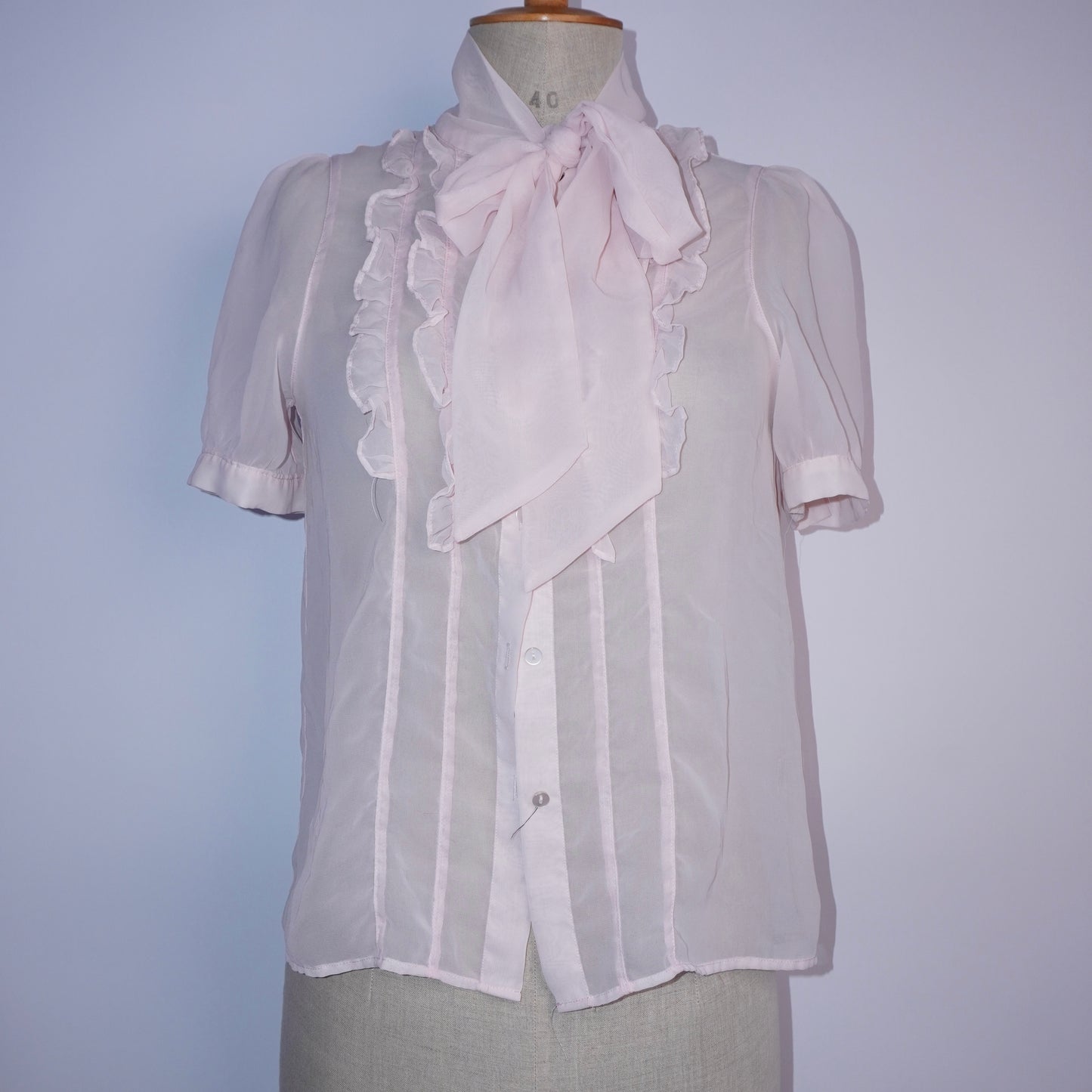 Sheer Ruffle Top (M)