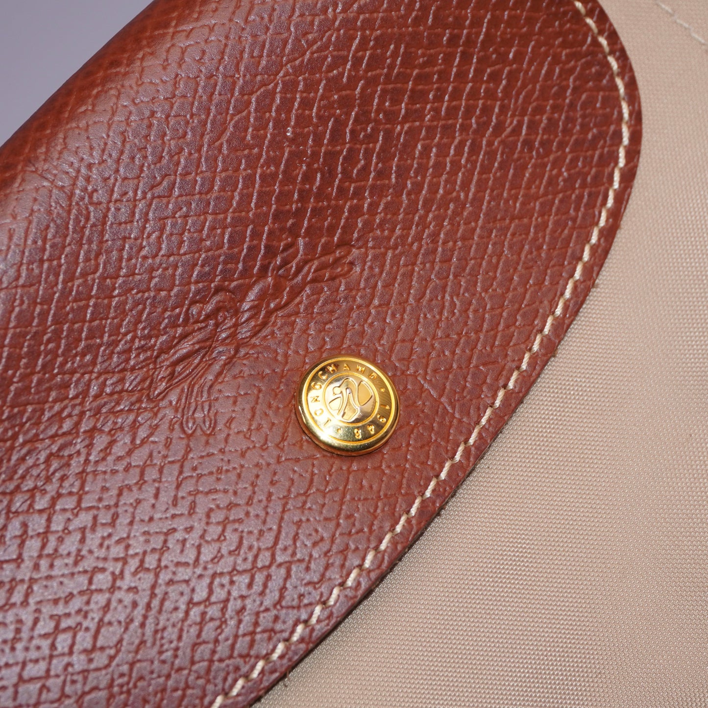 Longchamp Bag