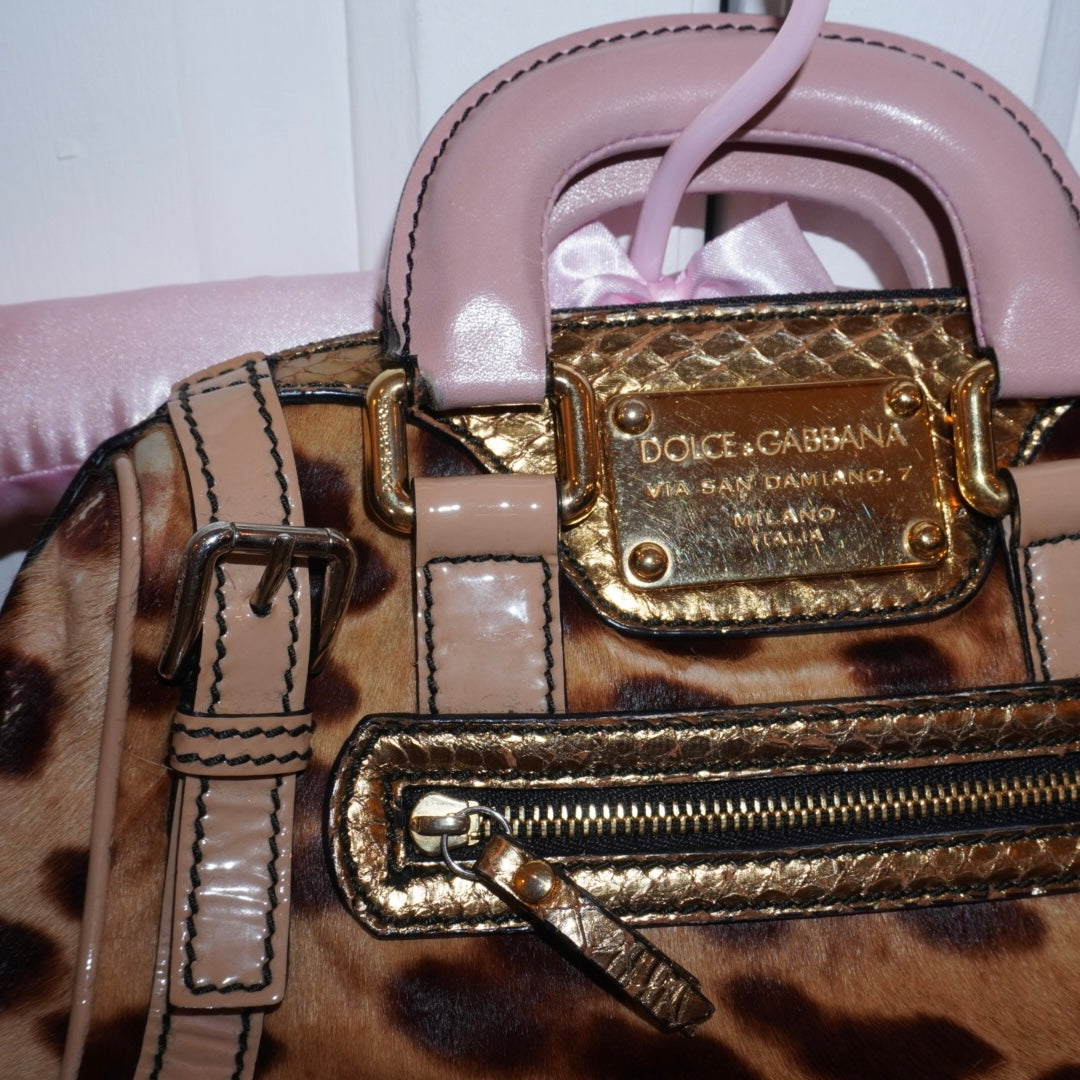 Dolce & Gabbana Leopard Purse