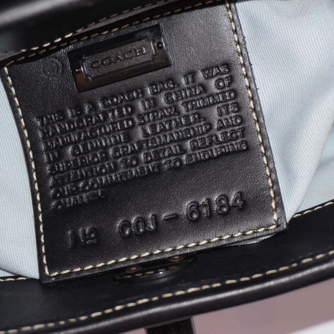 Coach Zebra Purse