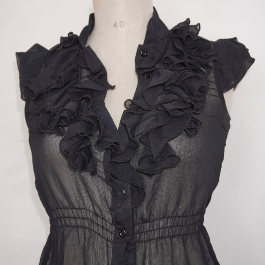 Sheer Ruffle Top (S)