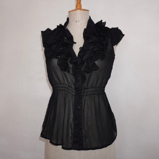 Sheer Ruffle Top (S)