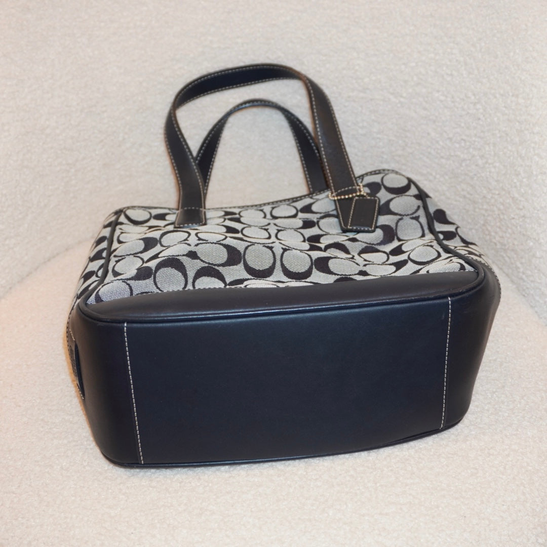 Coach 2000s Signature Bag