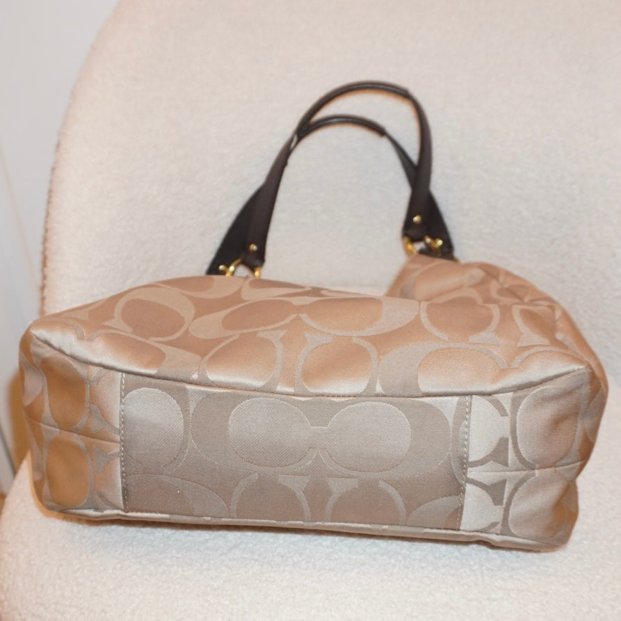 Coach 2000s Signature Bag
